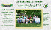 Cell Signalling Laboratory, U of S, Darrell Mousseau